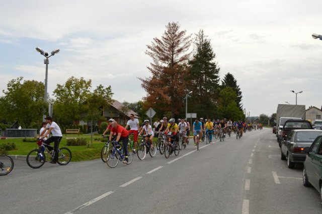 Miholje 2012